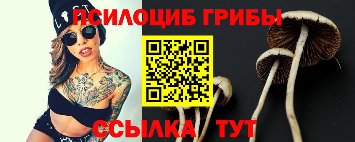 Наро-Фоминск  Псилоцибиновые грибы мухоморы  Вход с VPN 